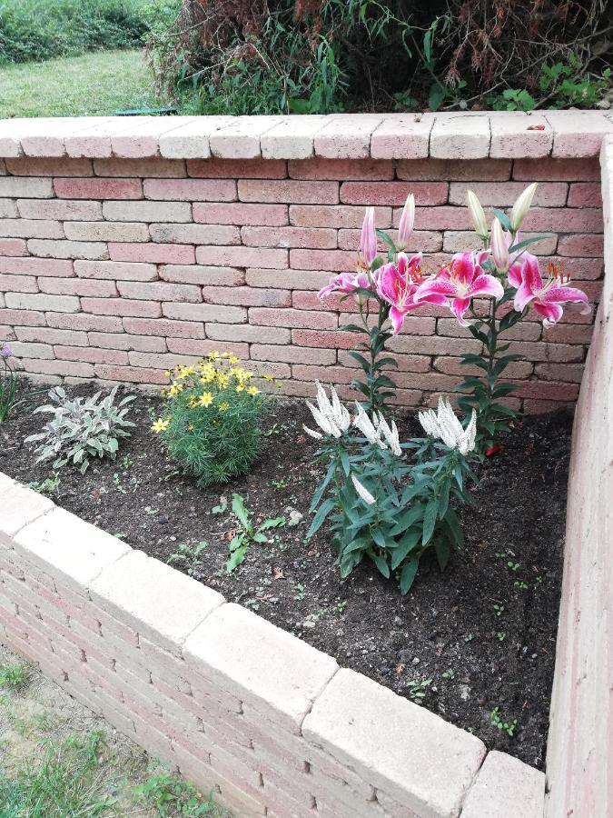 Baláca Panzió Veszprém Exterior foto